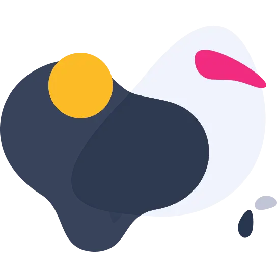 software development course