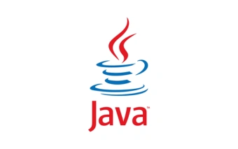 software development course